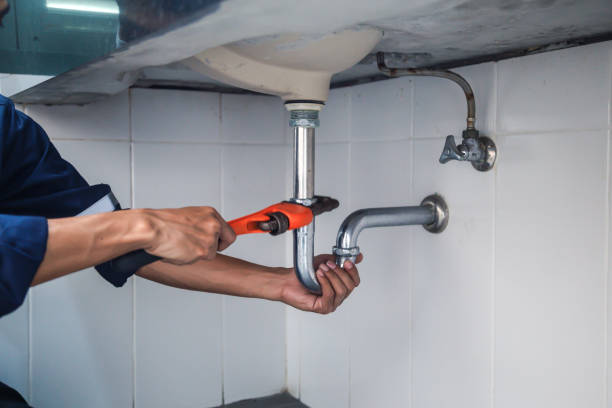 Best Plumbing Inspection Services  in Henryville, IN